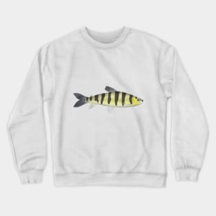 Banded Leporinus Crewneck Sweatshirt